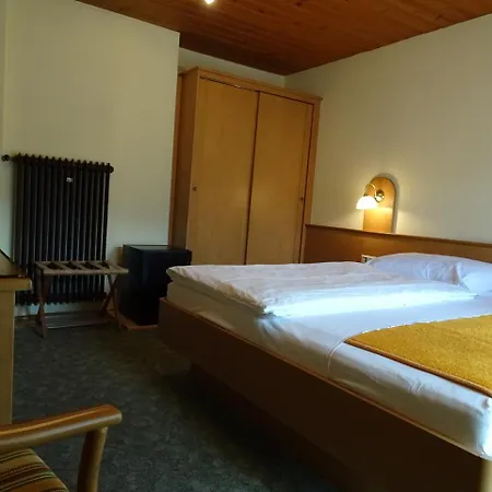 Гостевой дом Friedl